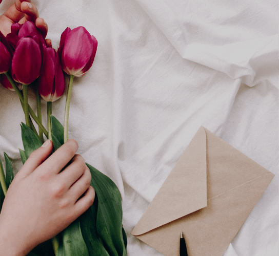 Ultimi aggiornamenti